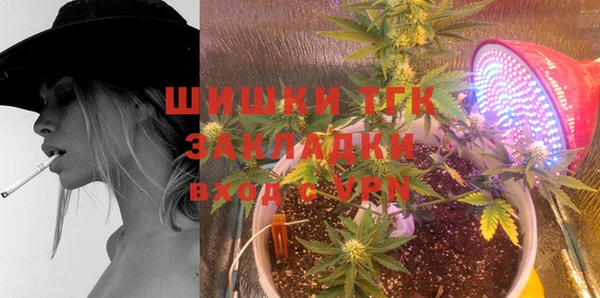 сатива Алексеевка