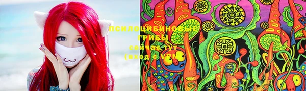 сатива Алексеевка