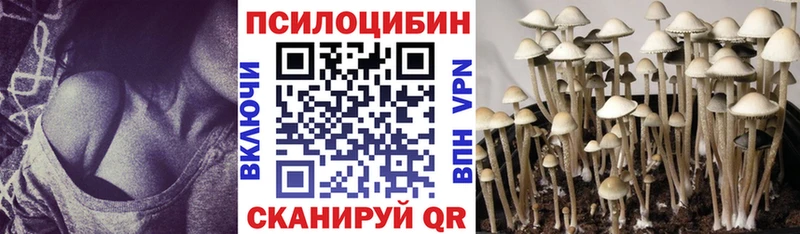 OMG зеркало  Лаишево  Галлюциногенные грибы Cubensis 